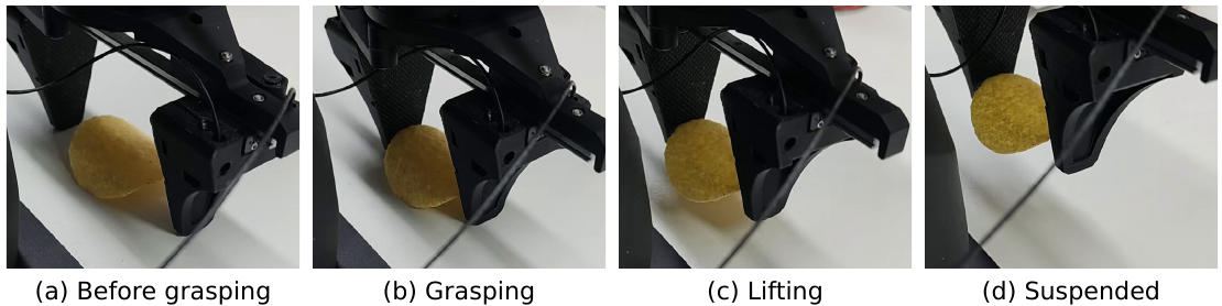 Four real-gripper frames showing a potato chip before grasping, during grasping, lifting and suspended holding without visible fracture